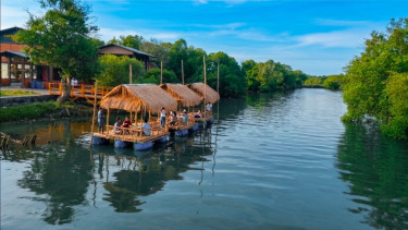 Wisata Curah Asmoro Sidoarjo, Sensasi Susur Sungai Mangrove di Sedati