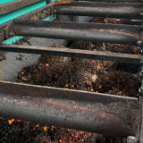 Industri Kelapa Sawit di Indonesia Terus Alami Peningkatan Positif