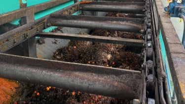 Industri Kelapa Sawit di Indonesia Terus Alami Peningkatan Positif