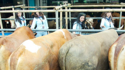 Lensa Berbicara: SPG Berkostum Ala Pramugari Ramaikan Penjualan Hewan Kurban
