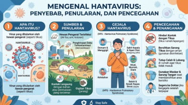 Kemenkes Perketat Bandara dan Pelabuhan, 51 Balai Karantina Disiagakan Cegah Hantavirus Masuk Indonesia