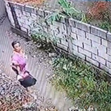 Masriah yang Viral Melempar Kotoran Manusia ke Tetangga Kembali Berulah