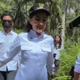Tingkah Gemas Gubernur Sherly Tjoanda saat Blusukan di Hutan Suku Togutil, Tiba-tiba Akui Ingin Menghilang