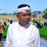 Kekhawatiran Besar Dedi Mulyadi soal Masa Depan Petani Indonesia: Nanti Tak Ada Lagi yang Mau Turun ke Sawah