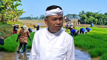 Kekhawatiran Besar Dedi Mulyadi soal Masa Depan Petani Indonesia: Nanti Tak Ada Lagi yang Mau Turun ke Sawah