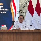 Jelang Idul Adha, Pemerintah Klaim Stok Pangan Melimpah: Hewan Kurban Surplus 891 Ribu Ekor