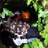 Tinggal Sendiri, Pria di Gambiran Banyuwangi Ditemukan Tewas di Dalam Sumur