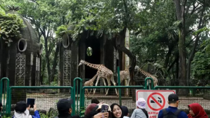 Libur Panjang Empat Hari, Pengunjung Ragunan Diprediksi Tembus 120 Ribu Orang