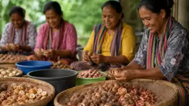 Potensi Pala Ngada Jadi Harapan Baru Ekonomi Perempuan Desa