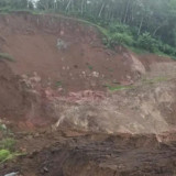 9 Pekerja Tambang Emas Tradisional di Sijunjung Tewas Tertimbun Longsor