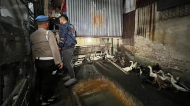 Polrestabes Medan Gerebek Kadang Bebek dan Ayam yang Jadi Sarang Narkoba