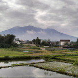 Erupsi Gunung Marapi Semburkan Abu Vulkanik Setinggi 500 Meter
