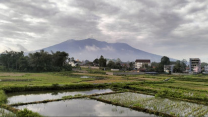 Erupsi Gunung Marapi Semburkan Abu Vulkanik Setinggi 500 Meter