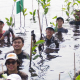 Menangkal Ancaman Krisis Iklim yang Kian Nyata, Puluhan Anak Muda Antusias Tanam Mangrove di Pesisir Jakarta
