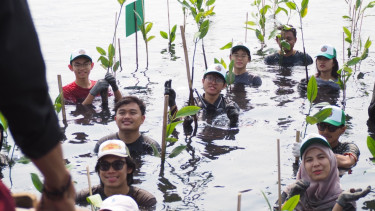 Menangkal Ancaman Krisis Iklim yang Kian Nyata, Puluhan Anak Muda Antusias Tanam Mangrove di Pesisir Jakarta