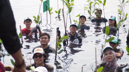 Menangkal Ancaman Krisis Iklim yang Kian Nyata, Puluhan Anak Muda Antusias Tanam Mangrove di Pesisir Jakarta