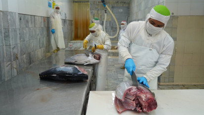 KNMP Digadang Bisa Kembalikan Papua Jadi Lumbung Tuna, DPR Ungkap Pernah Ada Industri Besar di Sana