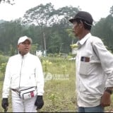 Dedi Mulyadi Semprot Kadis Kehutanan, Pekerja yang Harus Merawat Bibit Pohon Malah Dialihkan