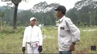 Dedi Mulyadi Semprot Kadis Kehutanan, Pekerja yang Harus Merawat Bibit Pohon Malah Dialihkan