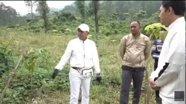 Dedi Mulyadi Tak Habis Pikir, Pekerja Reboisasi di Puncak Malah Dialihkan Urus Proyek Kopi oleh Kadis Kehutanan