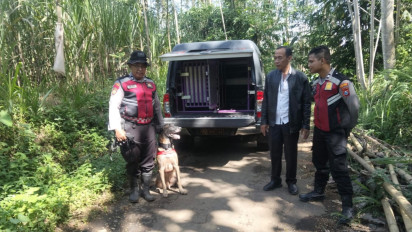 Jelang Idul Adha Sapi Warga Lumajang Ini Raib Dicuri, Polisi Lakukan Pencarian