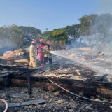 Peternakan Ayam di Probolinggo Terbakar, Kerugian Capai Ratusan Juta Rupiah