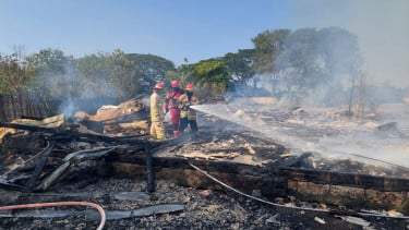 Peternakan Ayam di Probolinggo Terbakar, Kerugian Capai Ratusan Juta Rupiah