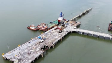 PSN Wanam Dinilai Tetap Penting untuk Ketahanan Pangan Nasional