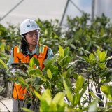 PT Vale Tingkatkan Investasi Lingkungan Sebesar 54,3 Persen Menjadi US$43,79 Juta Sepanjang Tahun 2025
