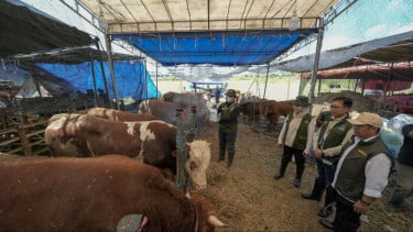 Kolaborasi Pelindo Petikemas dan Pemkot Surabaya Pastikan Hewan Kurban Aman untuk Masyarakat Jelang Iduladha 1447 H