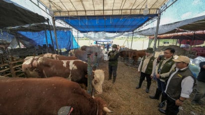 Kolaborasi Pelindo Petikemas dan Pemkot Surabaya Pastikan Hewan Kurban Aman untuk Masyarakat Jelang Iduladha 1447 H