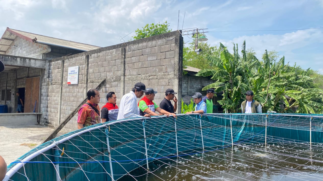 Bangkit bersama Petani, Pertamina Patra Niaga Wujudkan Desa Agro Minapolitan Mandiri
            - galeri foto