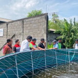 Bangkit bersama Petani, Pertamina Patra Niaga Wujudkan Desa Agro Minapolitan Mandiri