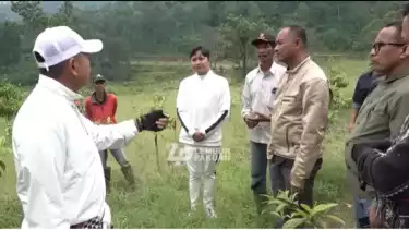 Dedi Mulyadi Geram Pekerja Pembibitan Pohon Dialihkan Tugasnya, Beri Teguran Keras kepada Kadis Kehutanan: Macam-macam