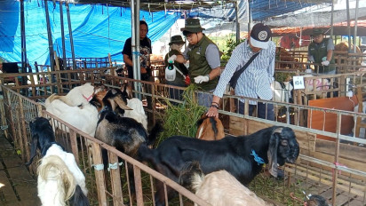 Hewan Kurban di Surabaya Terserang Flu dan Pilek, DPKP Gencar Pemeriksaan