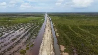 Program Cetak Sawah Dinilai Penting untuk Kemandirian Pangan