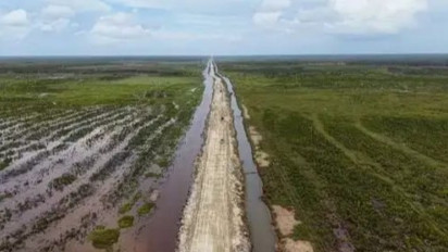 Program Cetak Sawah Dinilai Penting untuk Kemandirian Pangan