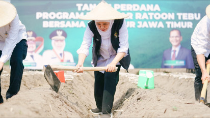 Gubernur Khofifah Pimpin Tanam Perdana Program Bongkar Ratoon Tebu Serentak di 11 Kabupaten se-Jawa Timur