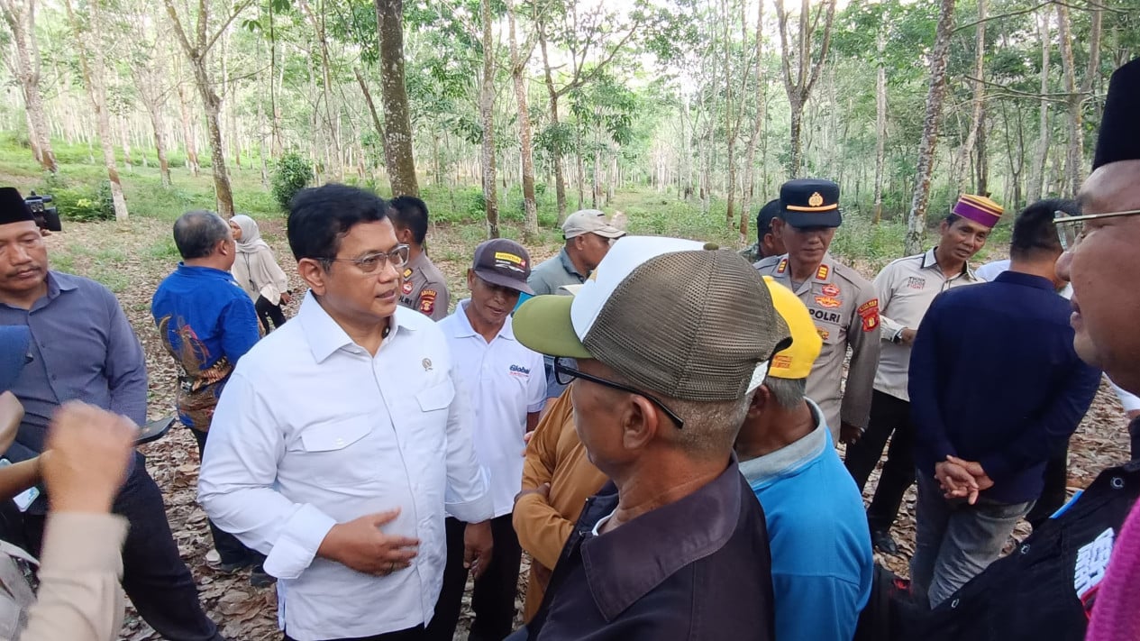 Eks Transmigran di Marangkayu Kini Nikmati Hasil Karet hingga Rp4,5 Juta per Bulan, Wamentrans Siap Perjuangkan Pupuk Subsidi
            - galeri foto