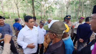 Eks Transmigran di Marangkayu Kini Nikmati Hasil Karet hingga Rp4,5 Juta per Bulan, Wamentrans Siap Perjuangkan Pupuk Subsidi
