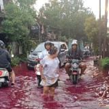 Tanggul Sungai Godo Perparah Banjir di Pati