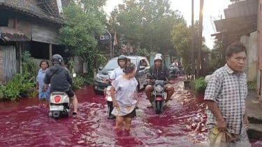 Tanggul Sungai Godo Perparah Banjir di Pati