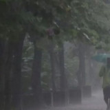 Waspada Cuaca Ekstrem, BNPB Minta Pemda dan Warga se-Indonesia Siaga Ancaman Bencana Hidrometeorologi