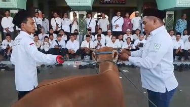 Jelang Idul Adha, Juleha Ajarkan Teknik Sembelih Hewan Kurban yang Syar'i