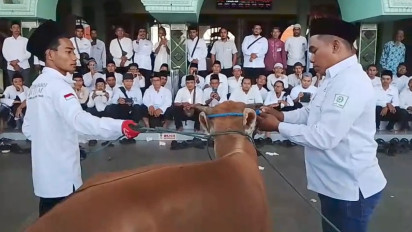 Jelang Idul Adha, Juleha Ajarkan Teknik Sembelih Hewan Kurban yang Syar'i