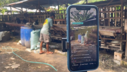 Peternak Kambing di Jombang Andalkan Live Sosmed Jelang Idul Adha 2026, Penjualan Hewan Kurban Meningkat