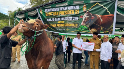 Sapi Kurban Bantuan Presiden Diserahkan Oleh Gubernur Gorontalo ke Masjid