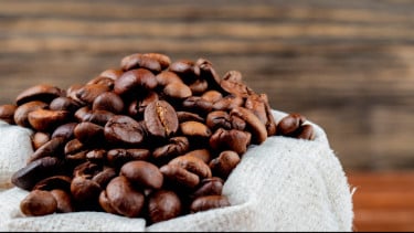 Dari Tanam Paksa hingga Mendunia, Kopi Luwak Indonesia Terus Dijaga Kualitasnya Selama Puluhan Tahun