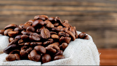 Dari Tanam Paksa hingga Mendunia, Kopi Luwak Indonesia Terus Dijaga Kualitasnya Selama Puluhan Tahun