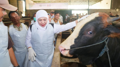 Jelang Iduladha 1447 Hijriah, Gubernur Khofifah Pastikan Hewan Kurban Sehat dan Aman, serta Pengiriman ke Daerah Lancar